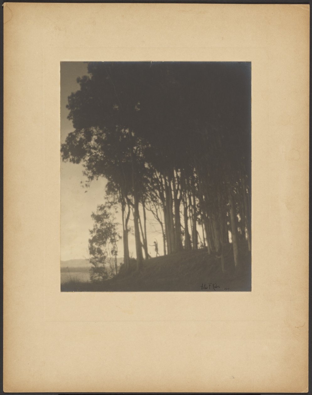 Ninfa Dançante de Arthur F. Kales