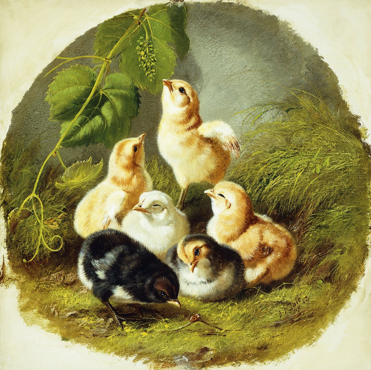 Pintainhos, 1863 de Arthur Fitzwilliam Tait