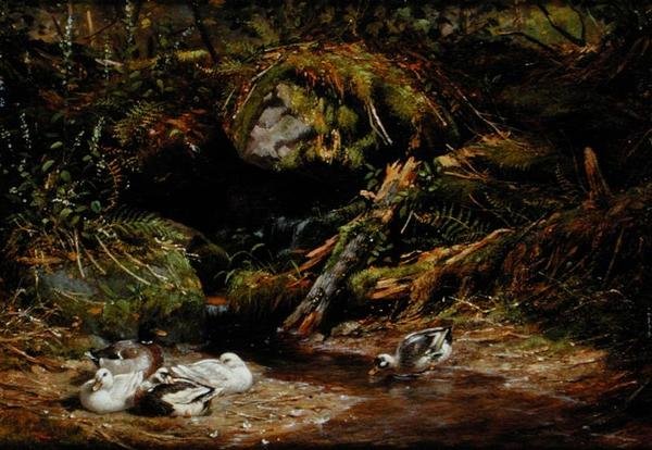 Patos na Cabeça da Primavera de Arthur Fitzwilliam Tait