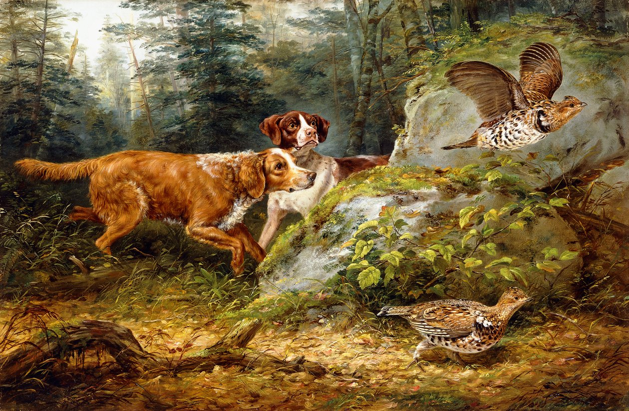 Flushed: Ruffed Grouse Shooting, 1857 de Arthur Fitzwilliam Tait