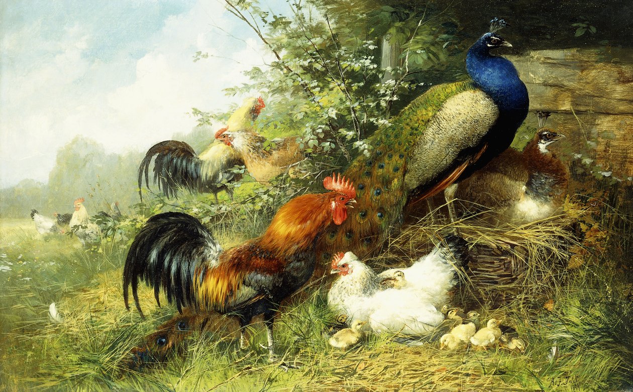 Galinha e pavões, 1899 de Arthur Fitzwilliam Tait