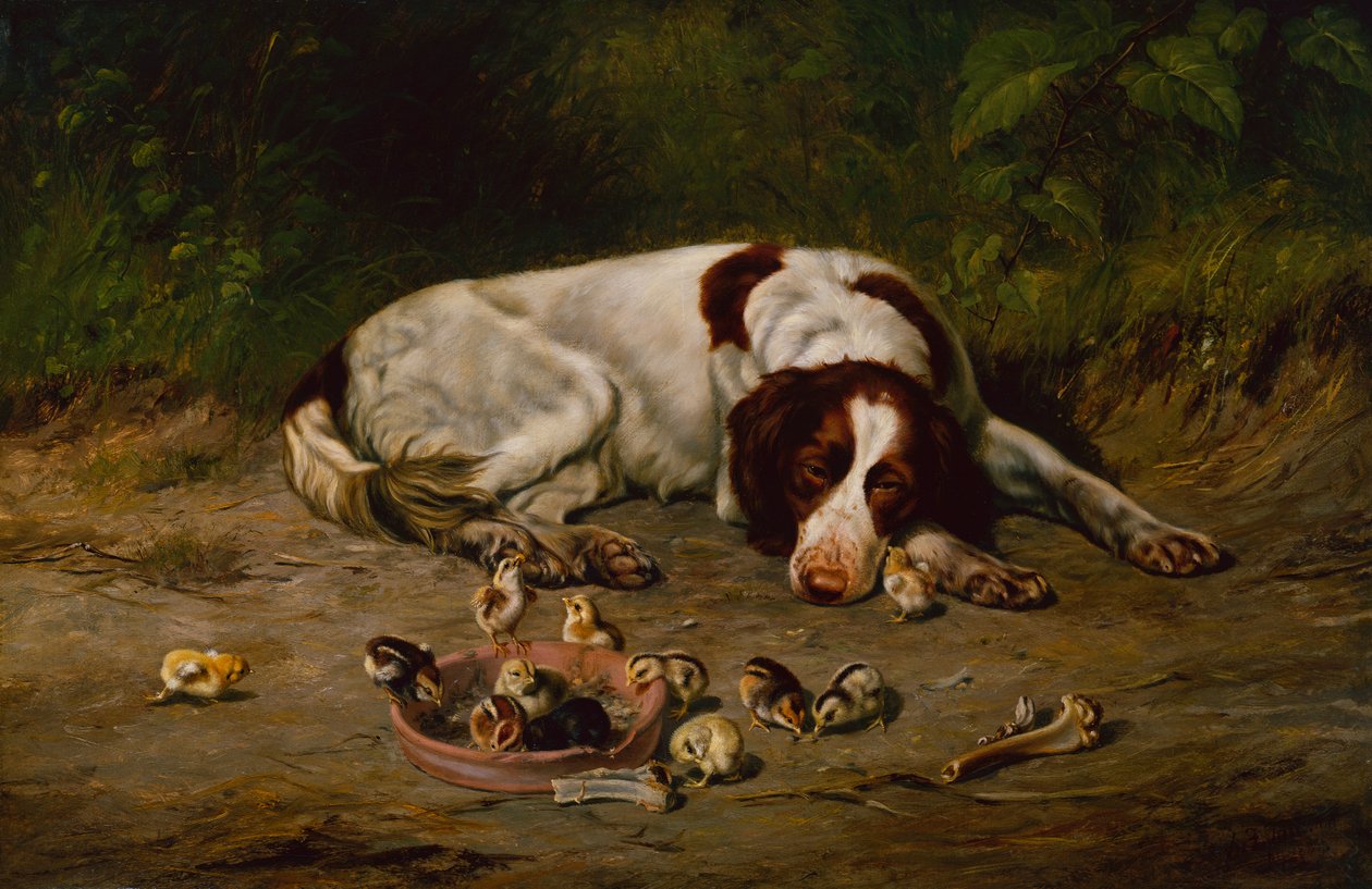 Cachorrinho bom de Arthur Fitzwilliam Tait