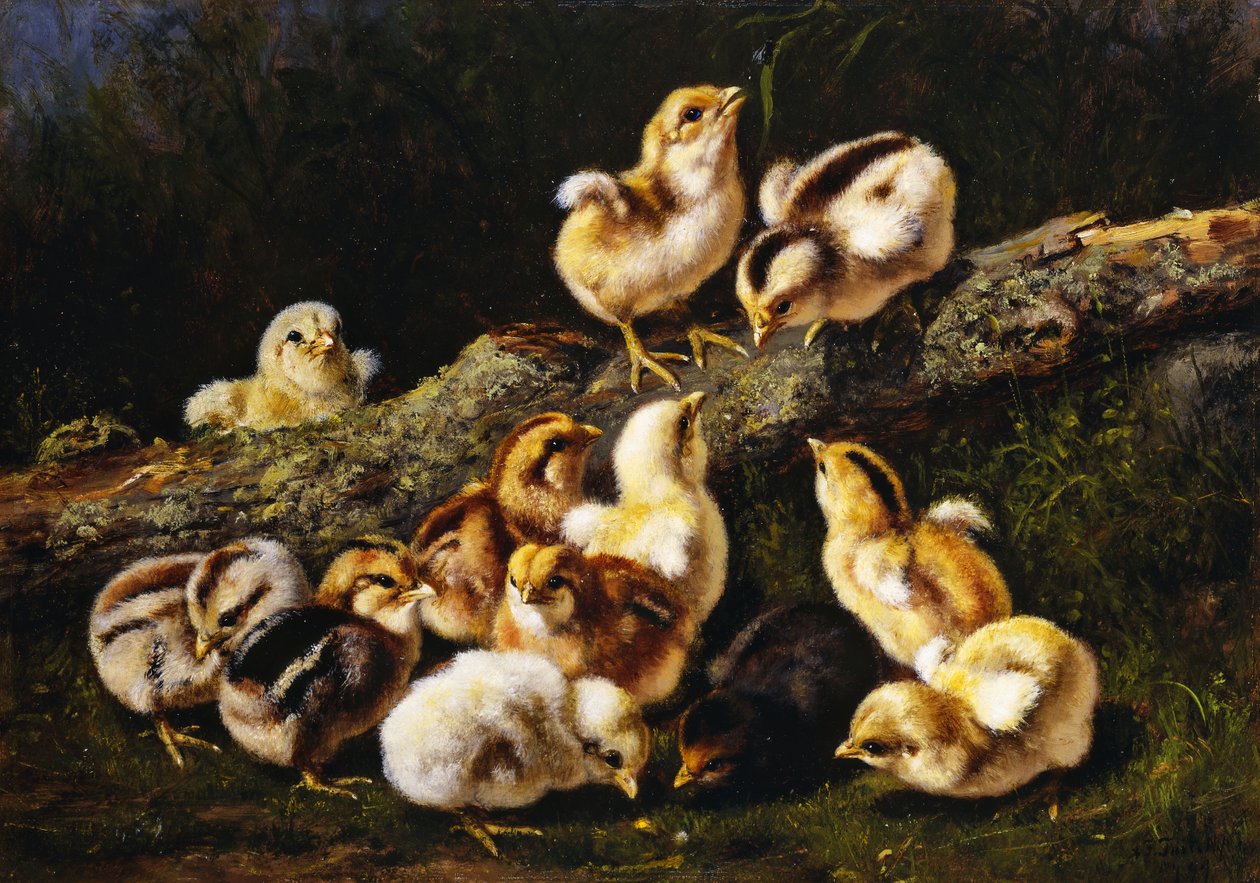 Pequenos Animais de Estimação, 1899 de Arthur Fitzwilliam Tait