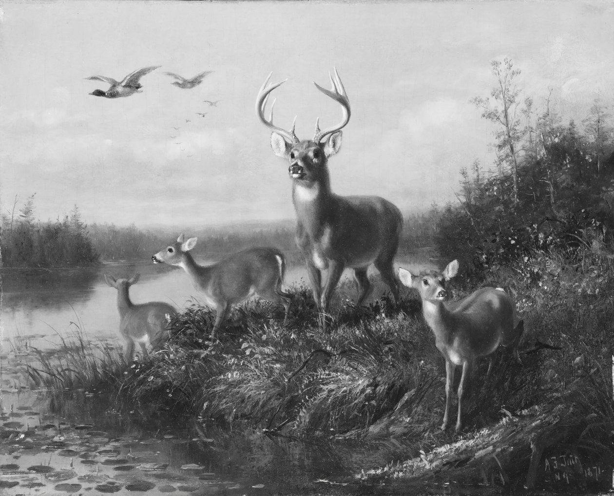 No Qui Vive, Buck e Three Does, 1871. de Arthur Fitzwilliam Tait