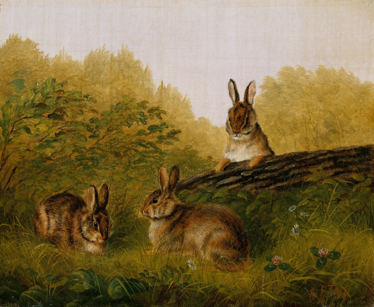 Coelhos em um tronco, 1897. de Arthur Fitzwilliam Tait