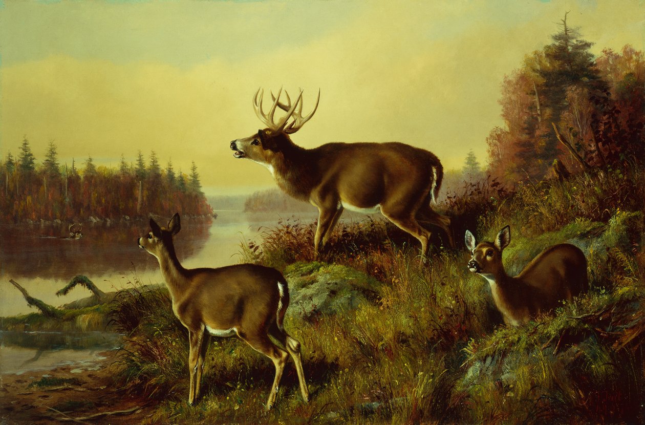 O desafio de Arthur Fitzwilliam Tait