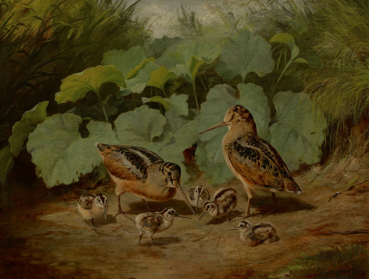 Woodcock e jovem de Arthur Fitzwilliam Tait
