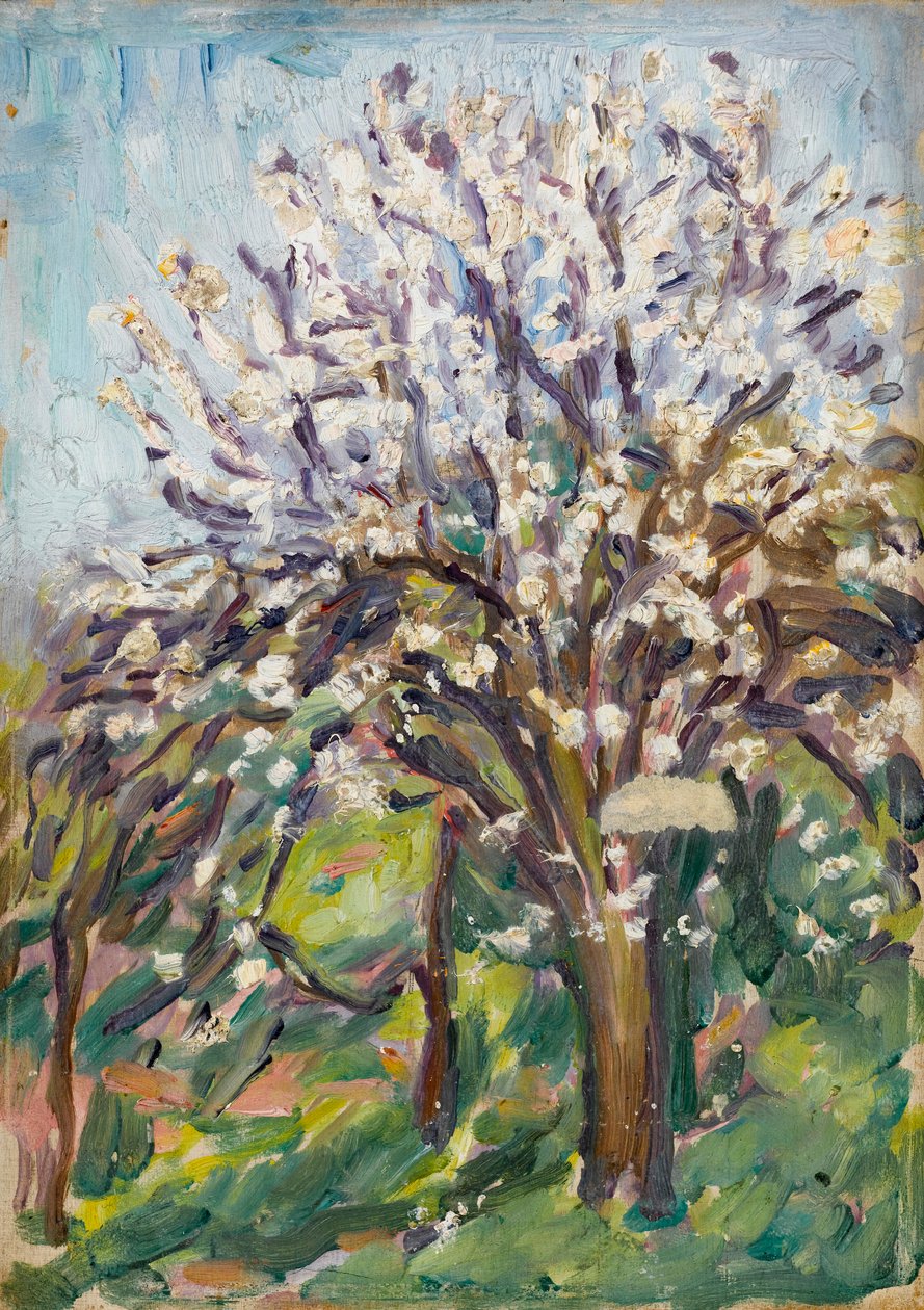 Amendoeiras em flor na orla inclinada, c.1910 de Arthur Haythorne Studd