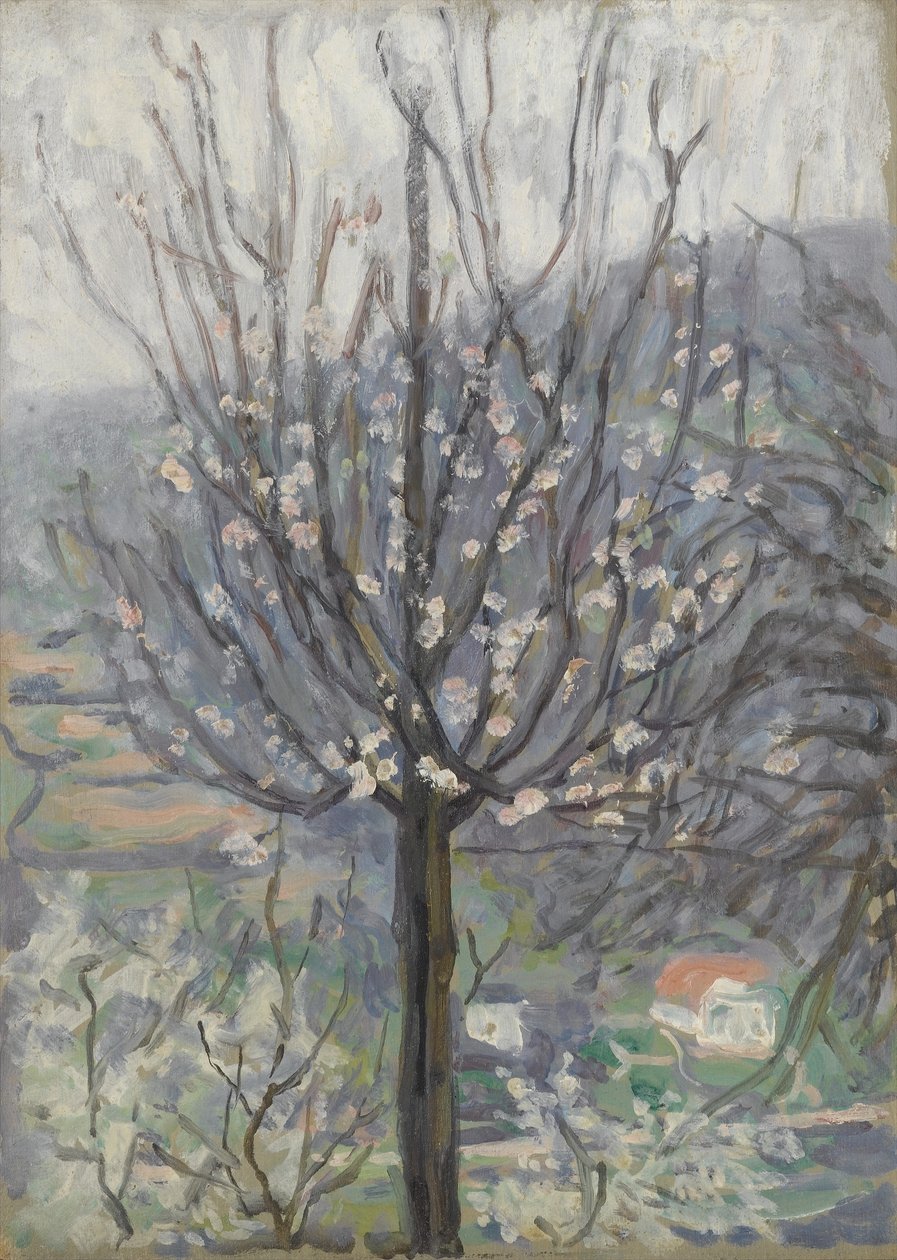 Flor, de manhã cedo de Arthur Haythorne Studd