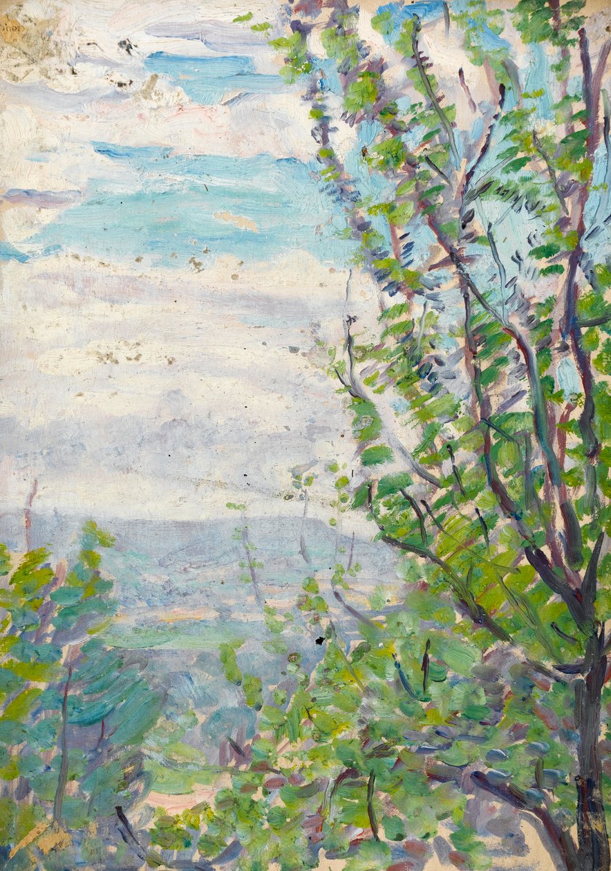 Céu azul e nuvens com galhos de árvores frutíferas à tona de Arthur Haythorne Studd