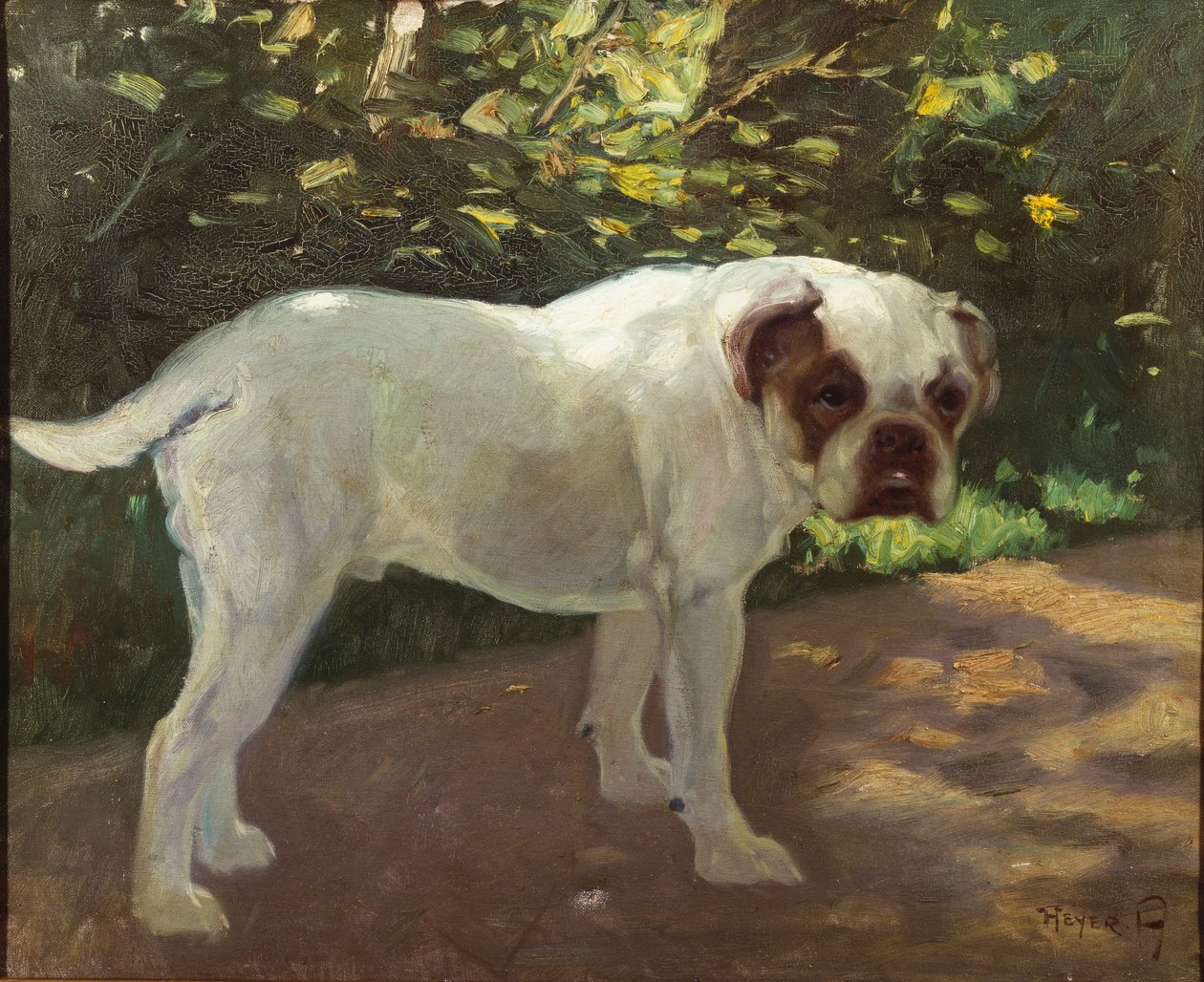 Um Bulldog em um Caminho de Jardim (óleo sobre tela) de Arthur Heyer
