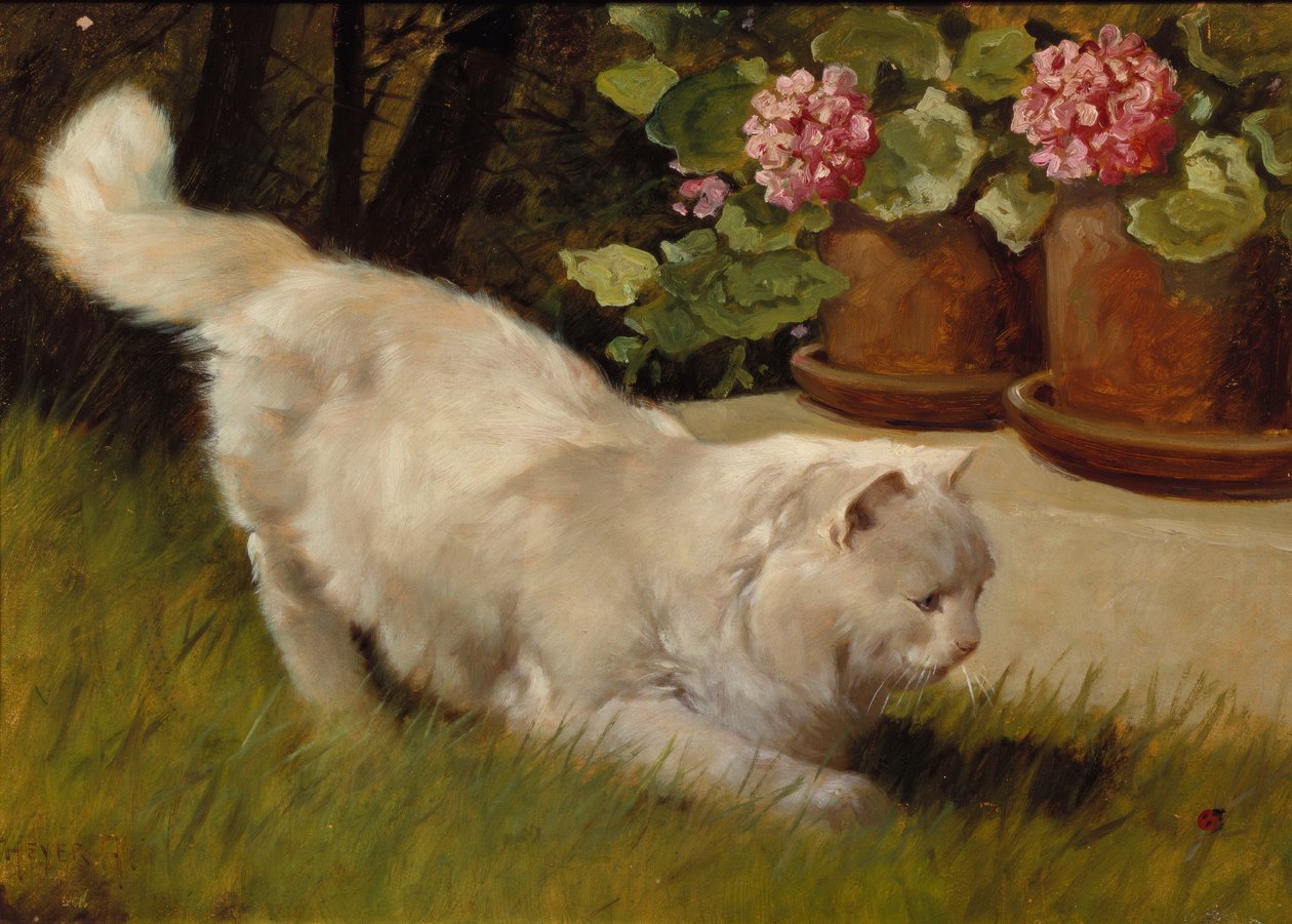 Um gato persa branco com uma joaninha (óleo a bordo) de Arthur Heyer
