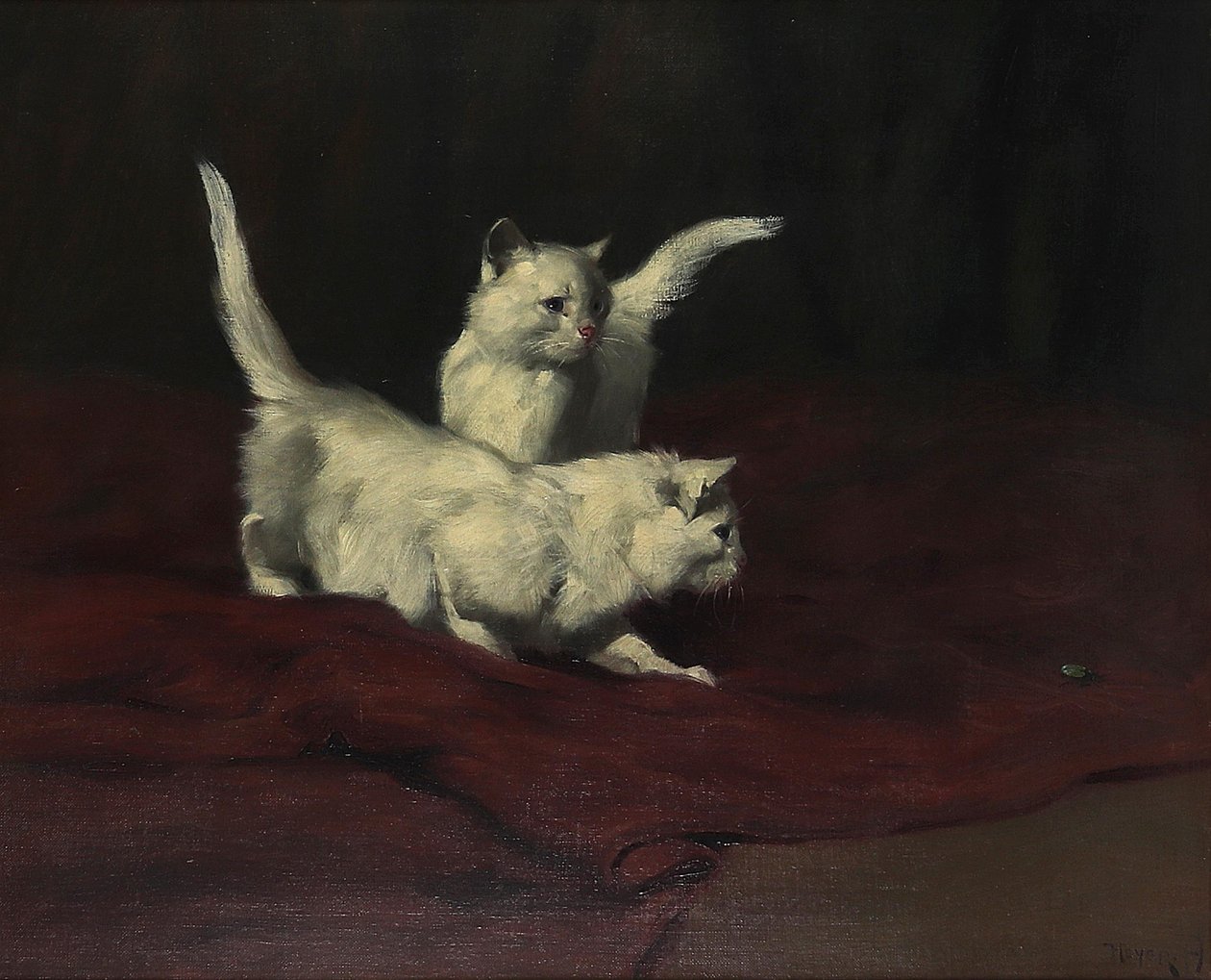 Arthur Heyer Gatinho a observar um escaravelho de Arthur Heyer
