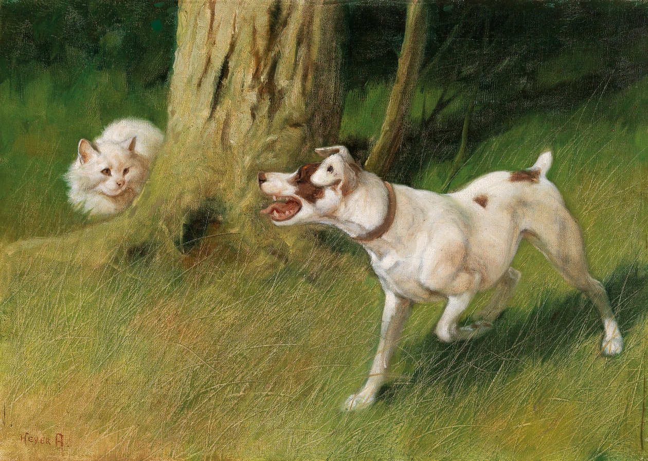Cão e gato de Arthur Heyer