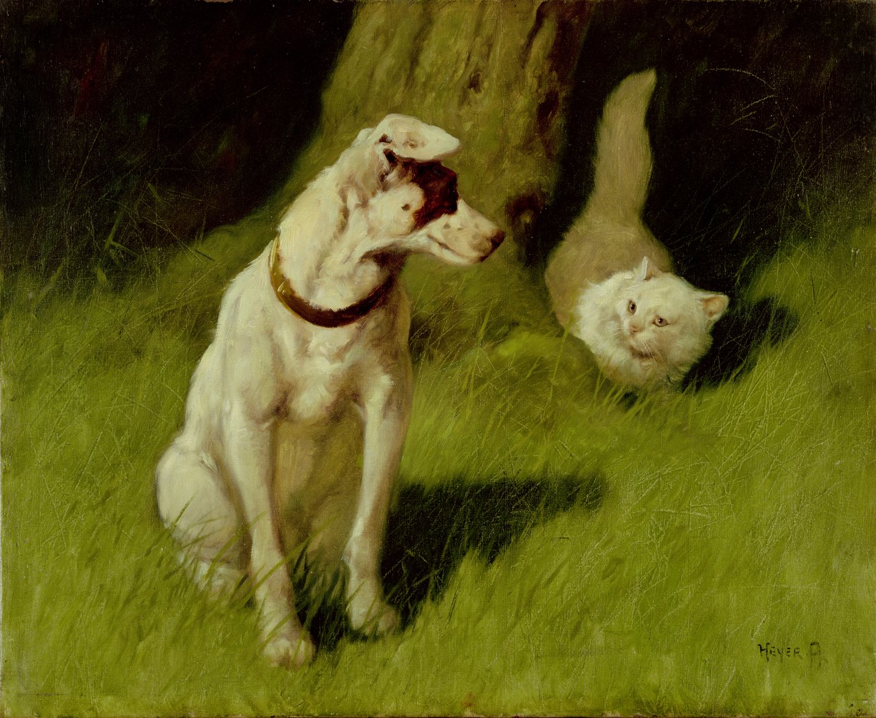 Gato persa branco e Jack Russell de Arthur Heyer