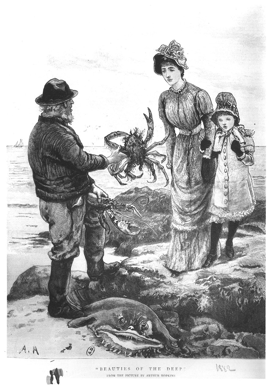 &39;Belezas das Profundezas&39;, 1882 de Arthur Hopkins