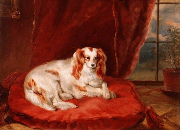 Um Cavalier King Charles Spaniel Deitado sobre uma Almofada Vermelha de Arthur J. Stark