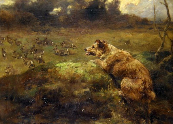 Rabbit Hunter (óleo sobre tela) de Arthur John Strutt