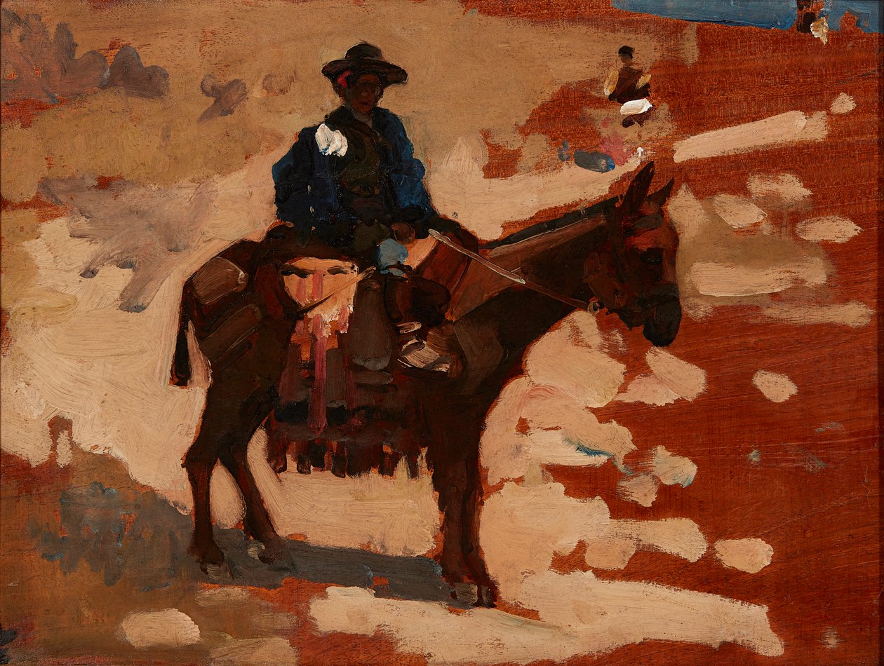 A Boy In Spain (óleo sobre painel) de Arthur Melville