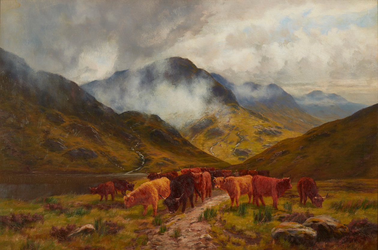 Gado das Terras Altas (óleo sobre tela) de Arthur Millward