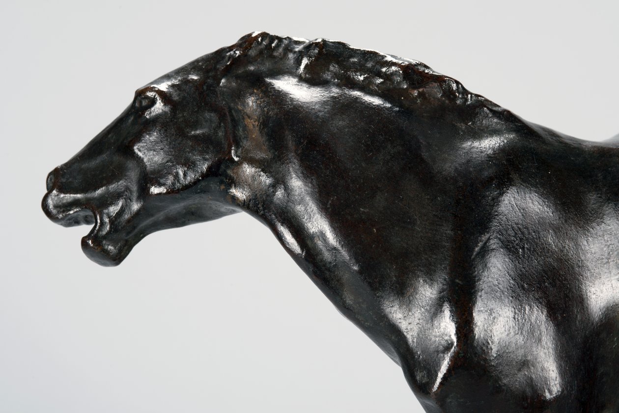 Colt (bronze) de Arthur Putnam