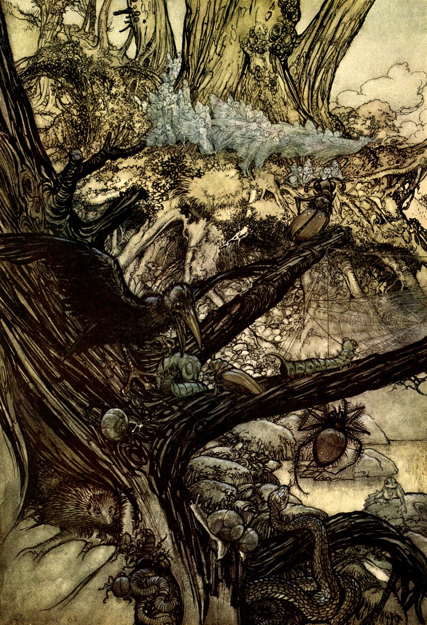 Sonho de uma noite de verão de Arthur Rackham