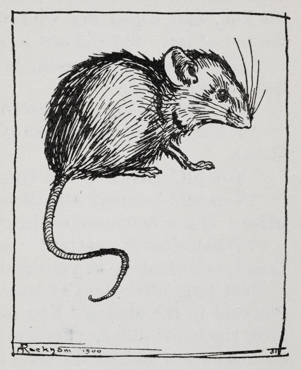 Um rato de Arthur Rackham