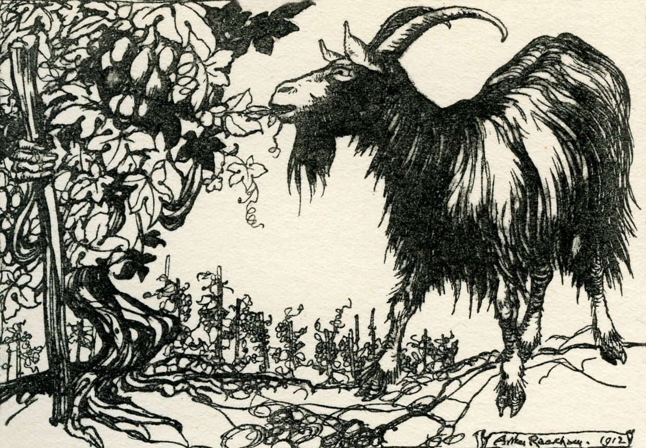 As Fábulas de Esopo de Arthur Rackham