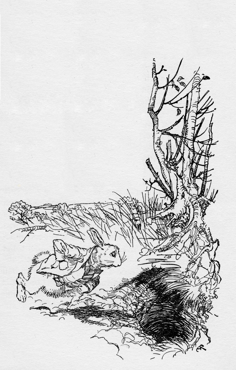 Alice s aventuras no país das maravilhas por Lewis Carroll de Arthur Rackham