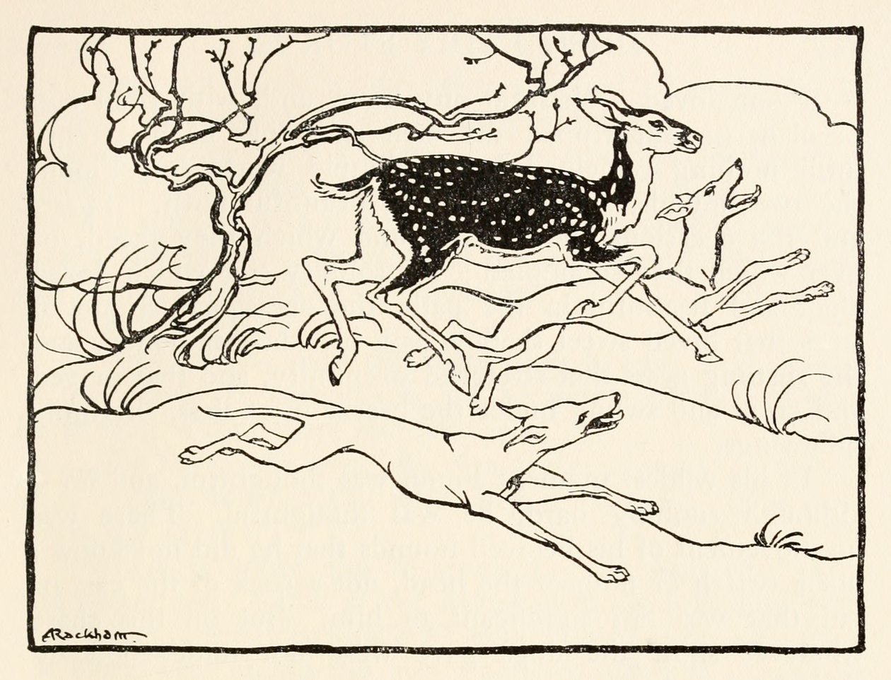 Becfola em sua carruagem de The Wooing of Becfola em contos de fadas irlandesesSee desc de Arthur Rackham