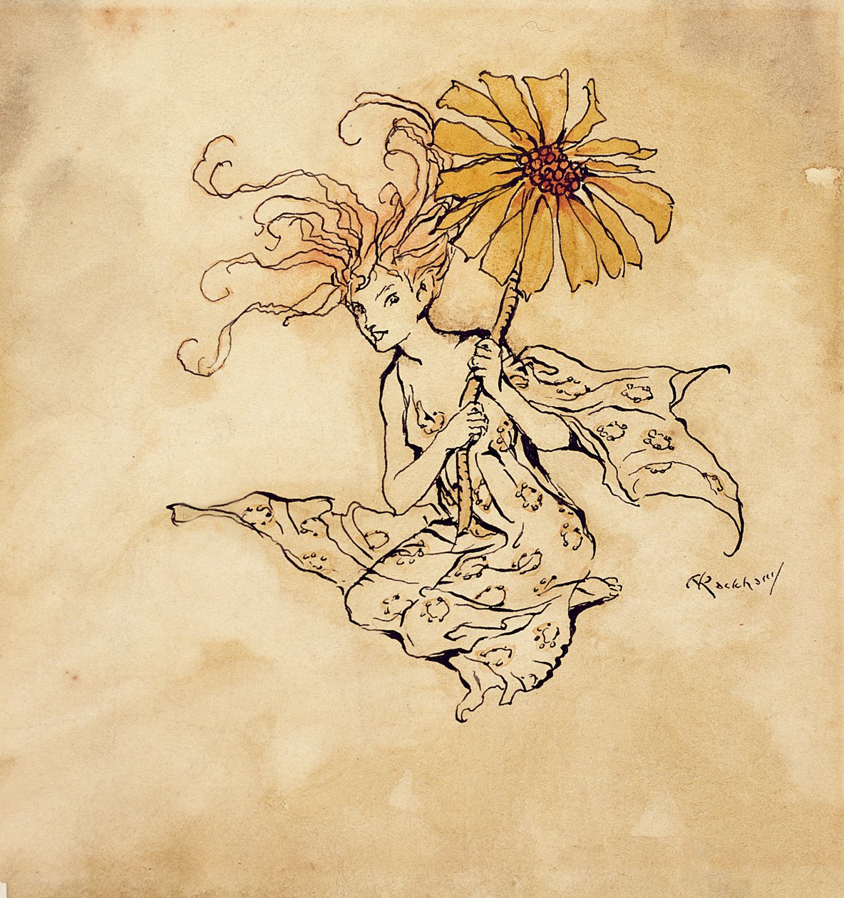 Daisy Fairy, ilustração de Peter Pan em Kensington Gardens, por JM Barrie, publicada em 1912 (caneta, tinta e wc no papel) de Arthur Rackham