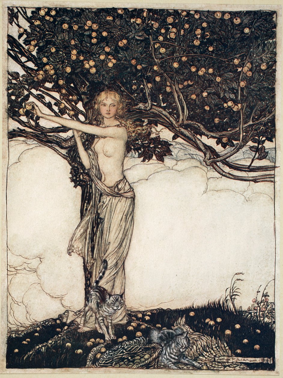 Floresta. de Arthur Rackham