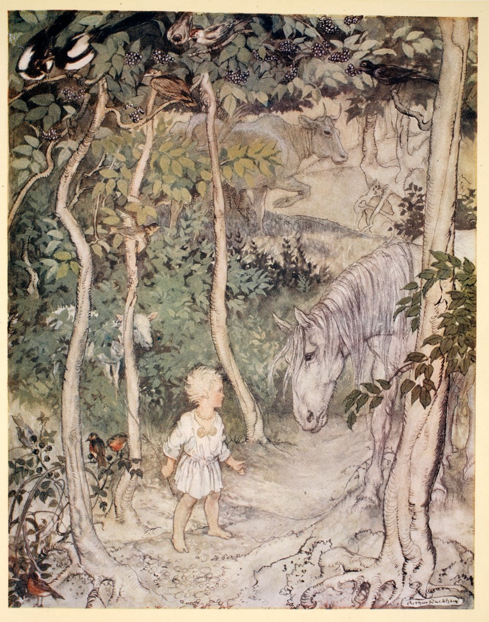 Ele poderia pensar, como um olhar fixo em um cavalo olhando, "um menino não pode abanar o rabo para manter as moscas", ilustração de "Irish Fairy Tales", de James Stephens, 1920 de Arthur Rackham