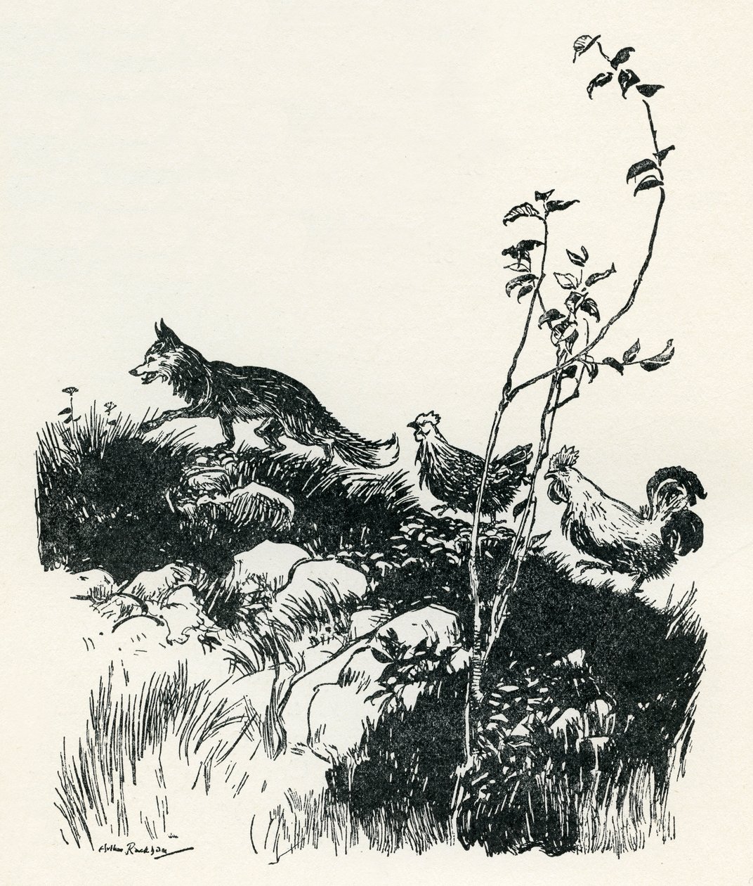 Henny-Penny de Arthur Rackham
