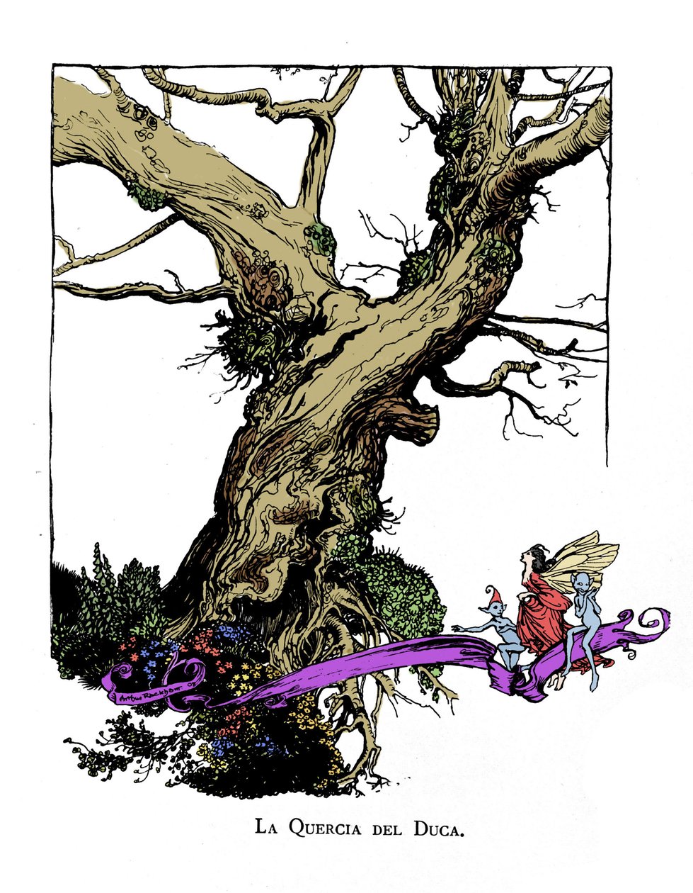 Ilustração para The Dream of a Summer Night de William SHAKESPEARE de Arthur Rackham