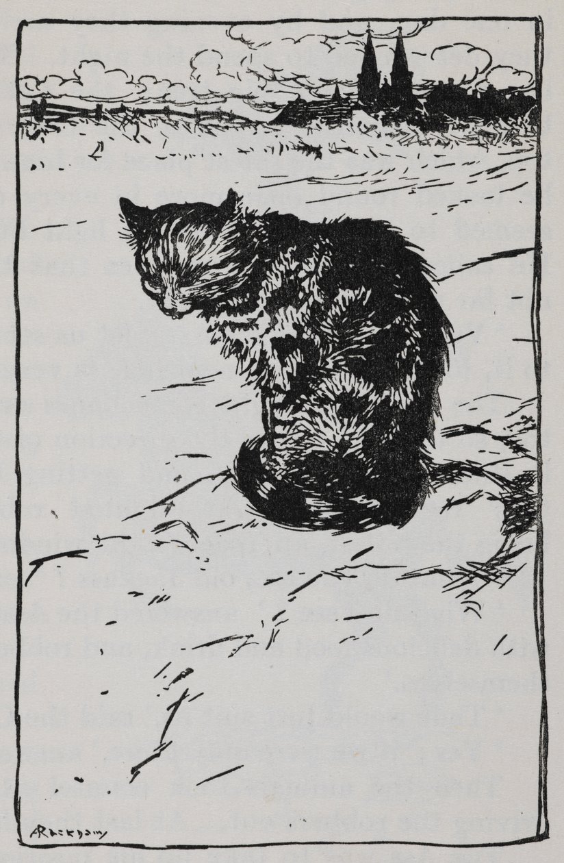 Ilustração de um gato de The Bremen Town Musicians. de Arthur Rackham