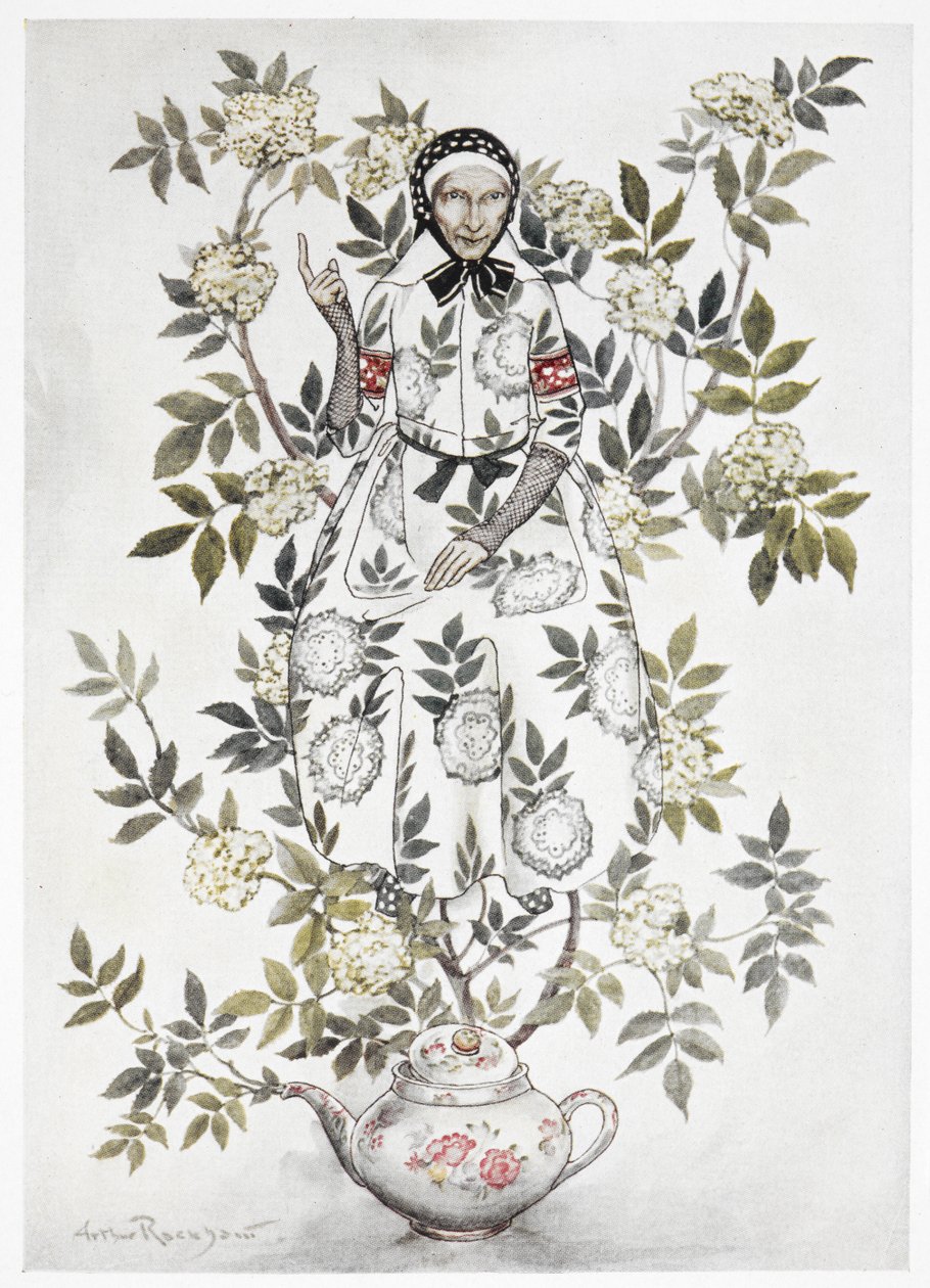 No meio de uma árvore sentou-se uma mulher de aspecto amável". Uma planta grande a crescer de um bule de chá. Uma mulher velha entre os ramos. Uma ilustração a cores para "Mãe de árvore idosa". de Arthur Rackham
