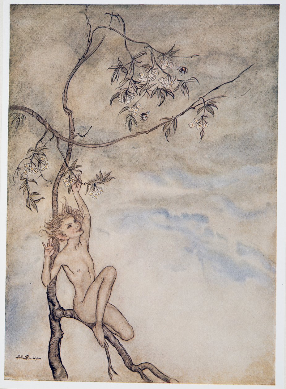 Alegre, felizmente eu vou viver agora sob a flor que paira sobre o galho, ilustração de William Shakespeares The Tempest, pub. 1926 de Arthur Rackham