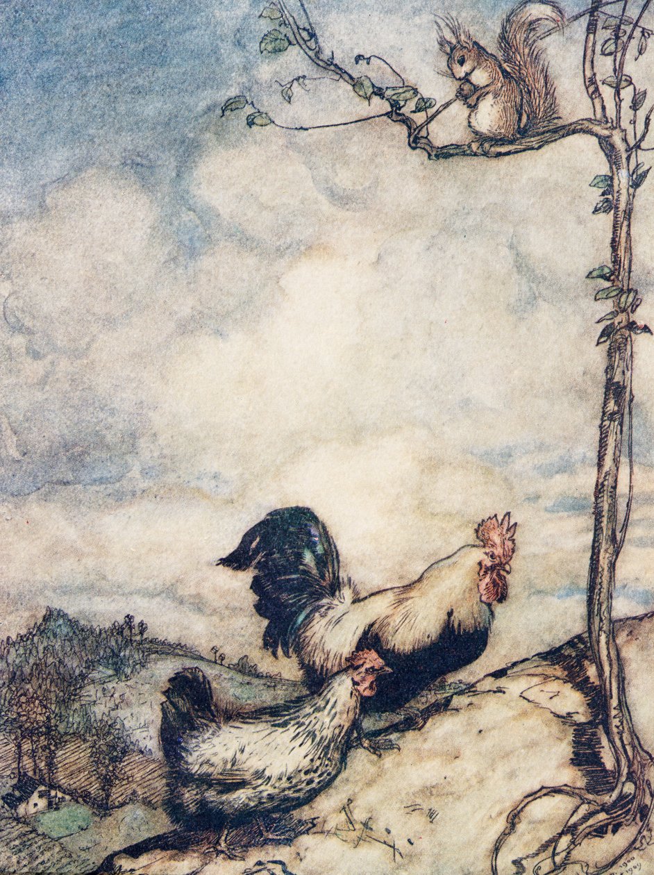 Agora vamos subir a colina e ter um bom banquete antes que o esquilo carregue todas as nozes ..., de Os contos de fada dos irmãos Grimm, pub. 1909 de Arthur Rackham