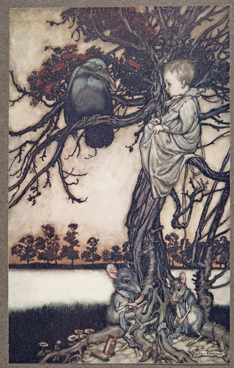 Coloque seu caso estranho antes de Old Solomon Caw, de Peter Pan em Kensington Gardens por JM Barrie (1860 - 1937), pub. 1906 de Arthur Rackham