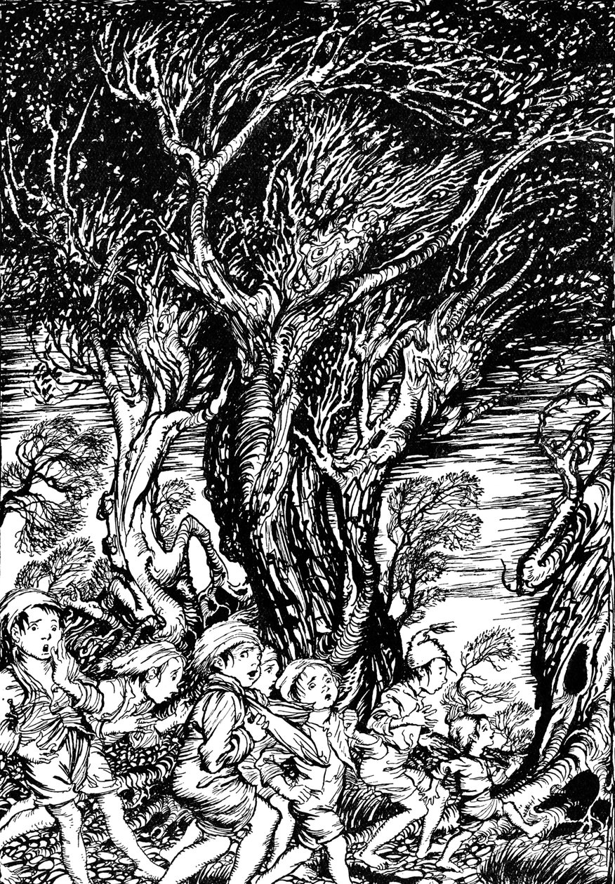 O livro da fada de Arthur Rackham de Arthur Rackham