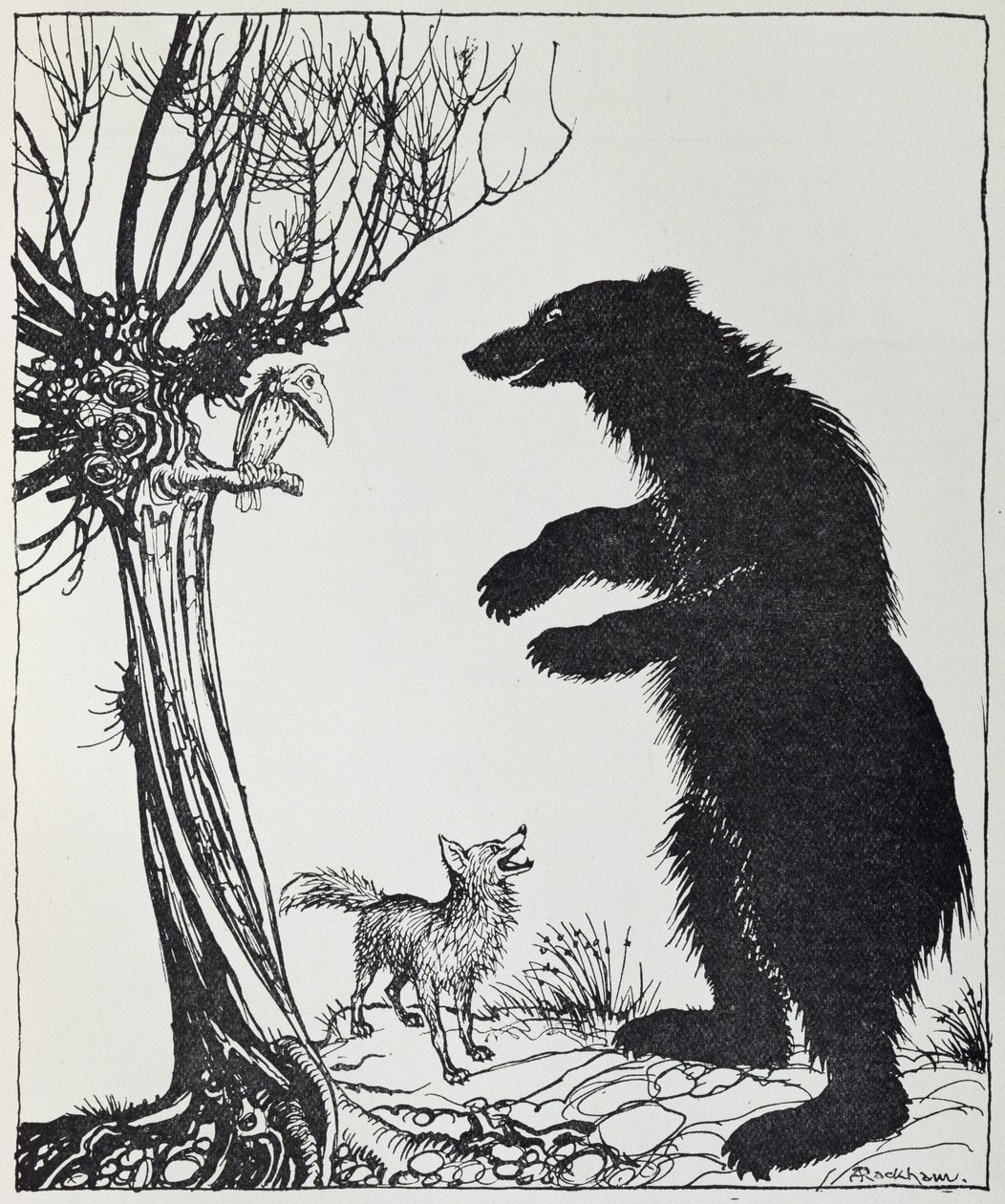 O Urso e a Raposa, ilustração de &39;Fábulas de Esopo&39;, publicada por Heinemann, 1912 de Arthur Rackham