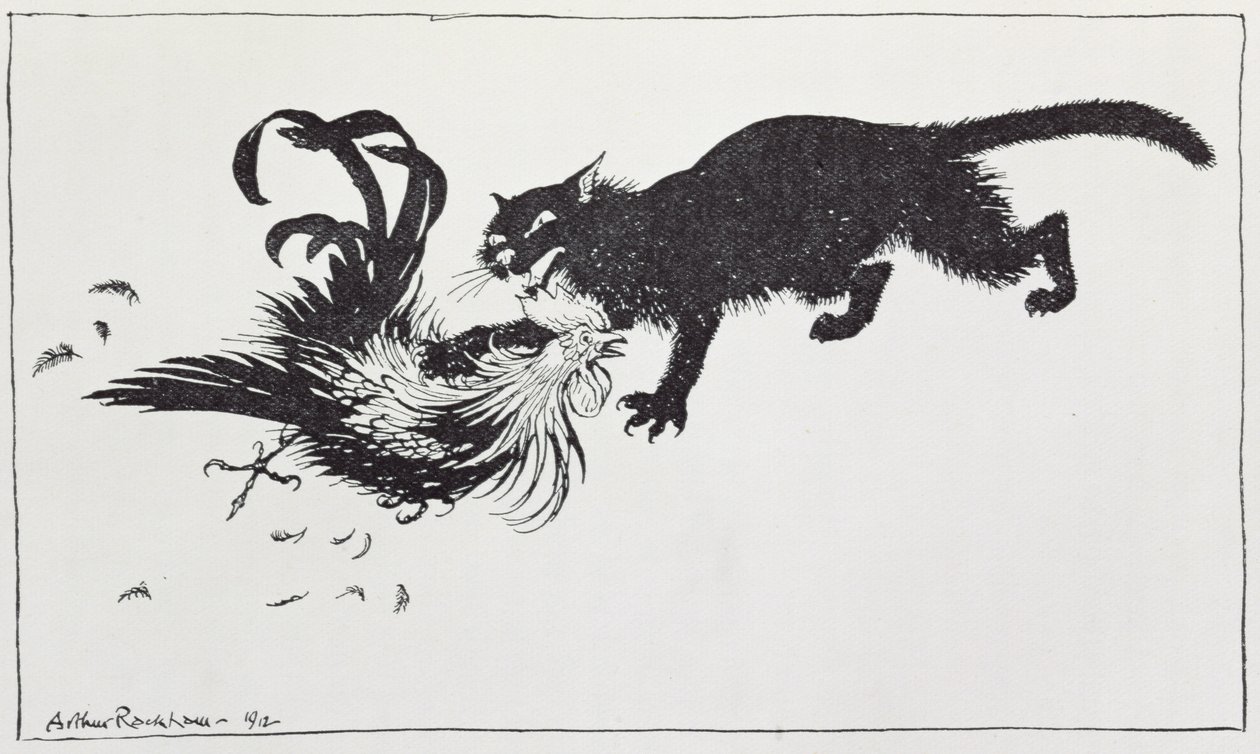 O Gato e o Galo, ilustração de &39;Fábulas de Esopo&39;, publicado por Heinemann, 1912 de Arthur Rackham