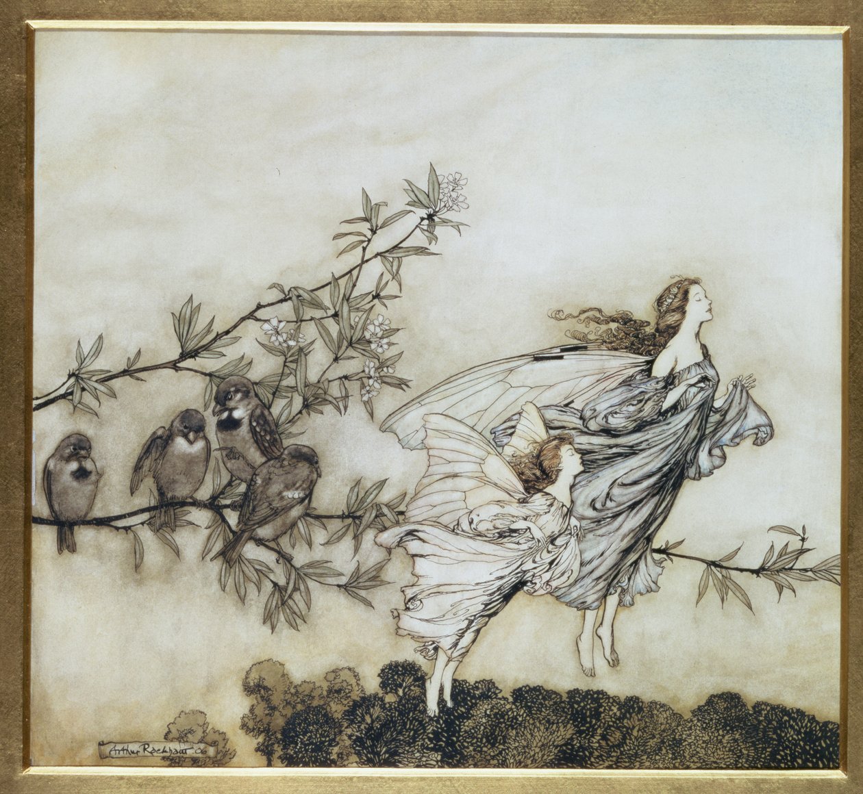 As fadas têm seus Tiff com os pássaros, ilustração de 1906 para Peter Pan em jardins de Kensington por JM Barrie, bar. 1906 (tinta e wc) de Arthur Rackham