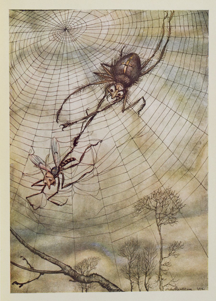 A Aranha e a Mosca, ilustração de &39;Fábulas de Esopo&39;, publicada por Heinemann, 1912 de Arthur Rackham