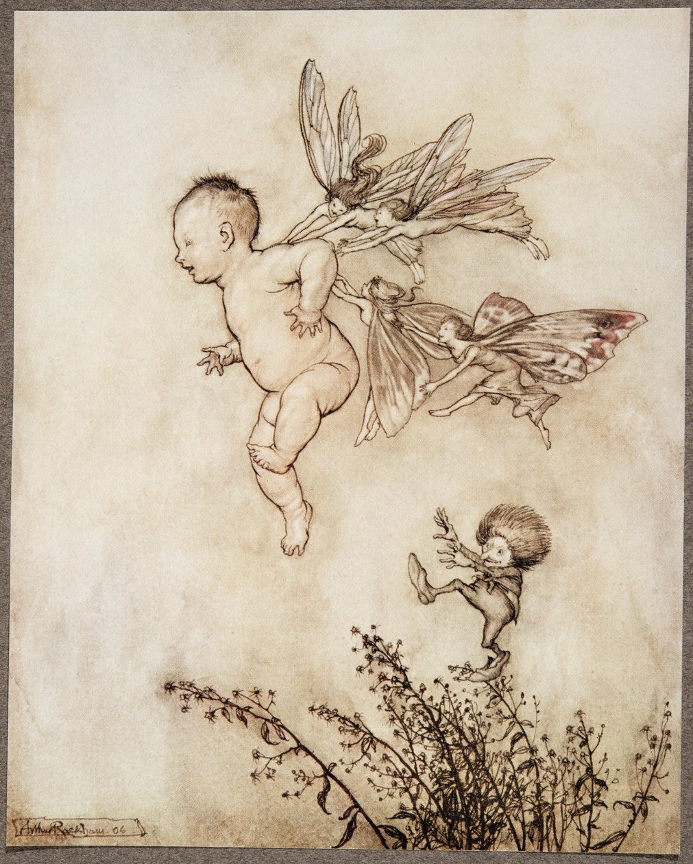 Todos eles fizeram cócegas no ombro dele, de Peter Pan em Kensington Gardens por JM Barrie (1860 - 1937), pub. 1906 de Arthur Rackham