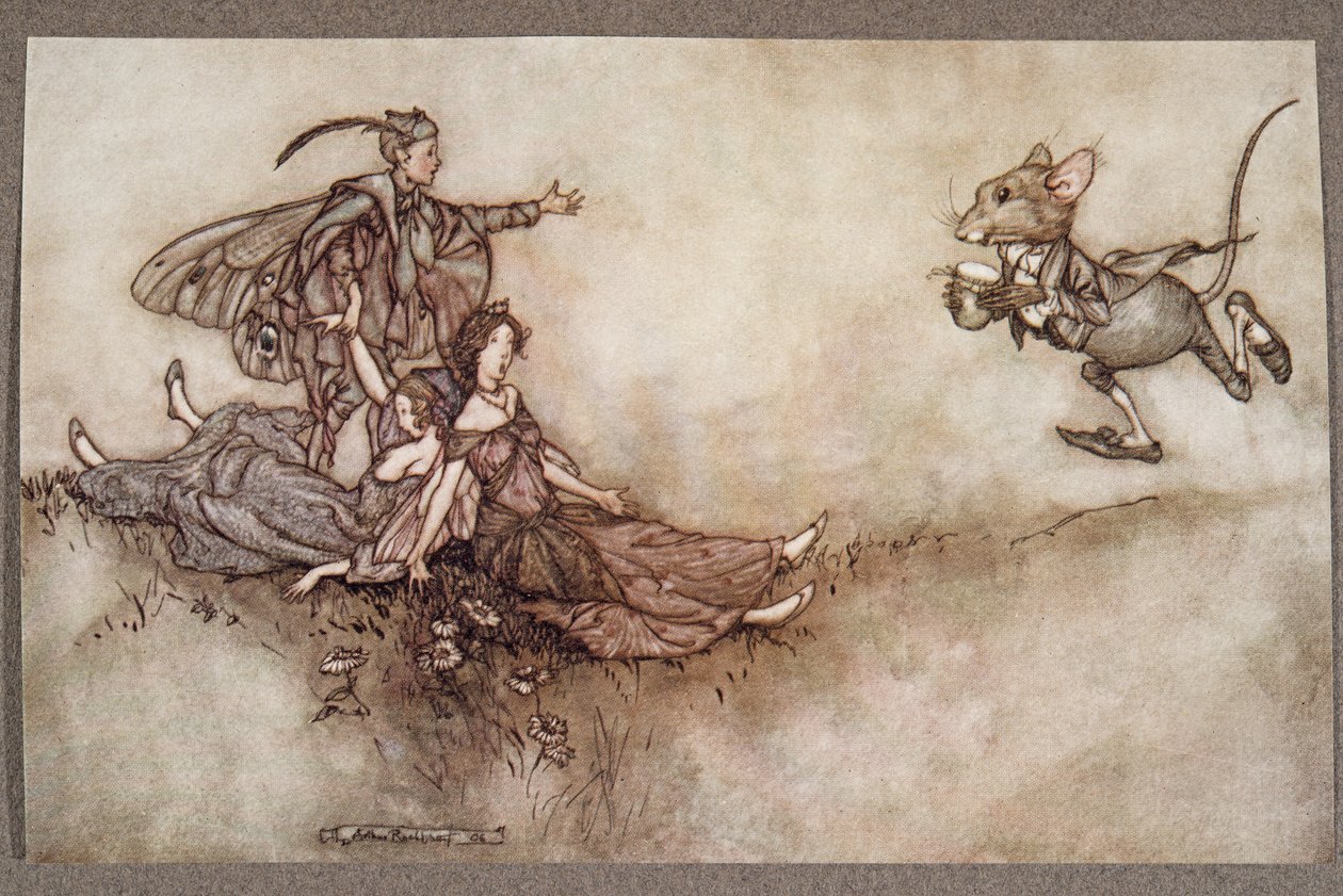 O suco de Wallflower é bom para reviver os dançarinos que caem no chão em um ataque, de Peter Pan em Kensington Gardens por JM Barrie (1860 - 1937), pub. 1906 de Arthur Rackham