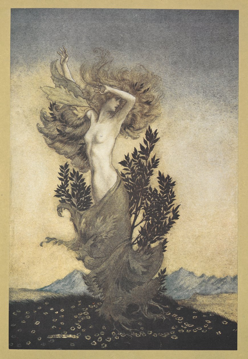 ... como Daphne foi, de raiz, que fugiu de Apollo". de Arthur Rackham