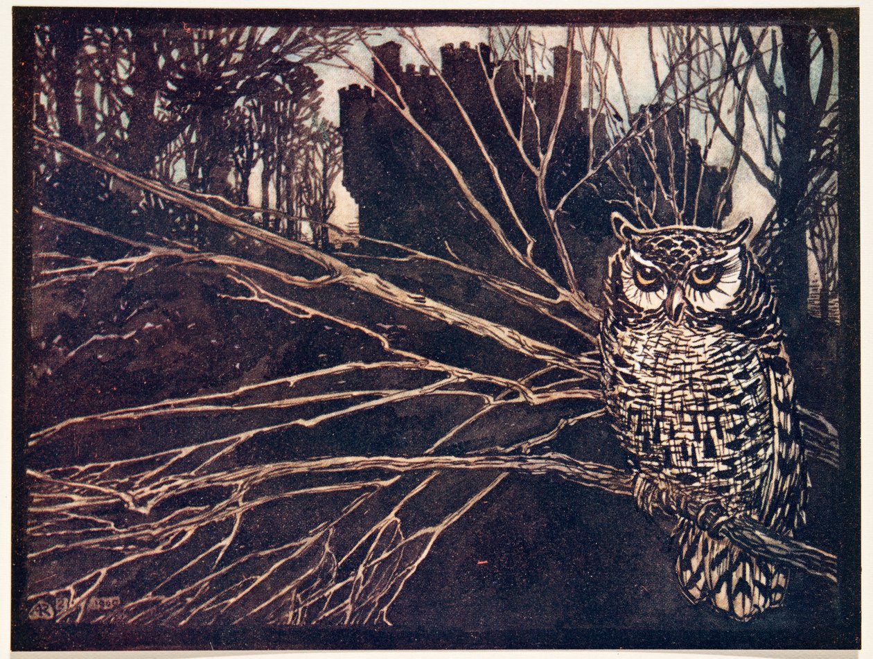  ou uma coruja de grito, dos contos de fadas dos irmãos Grimm, bar. 1909 de Arthur Rackham