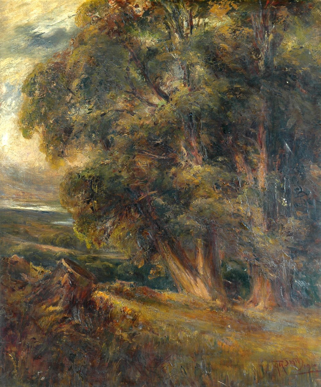 Estudo da árvore de Arthur Reginald Smith